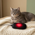 Cat resting with PawRadiance red light pet wellness massager on soft blanket