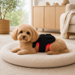 PawRadiance™ Small Pet Red Light Therapy Wrap